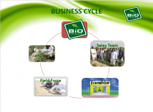 business Cycle